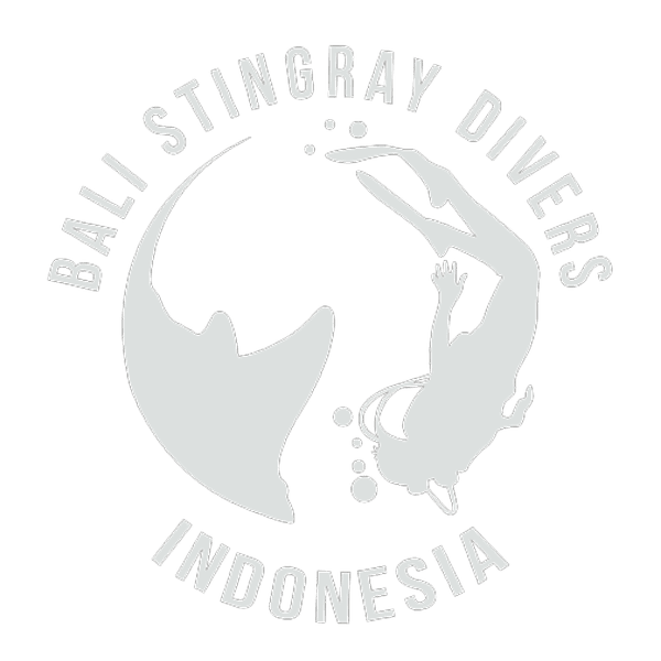 Bali Stingray Diver