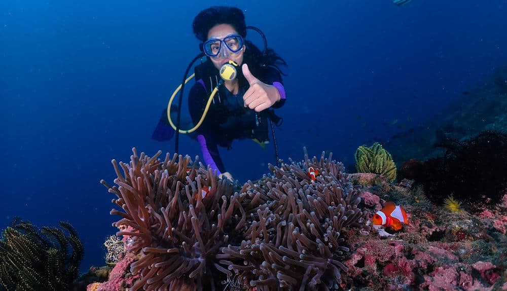 padang bai diving