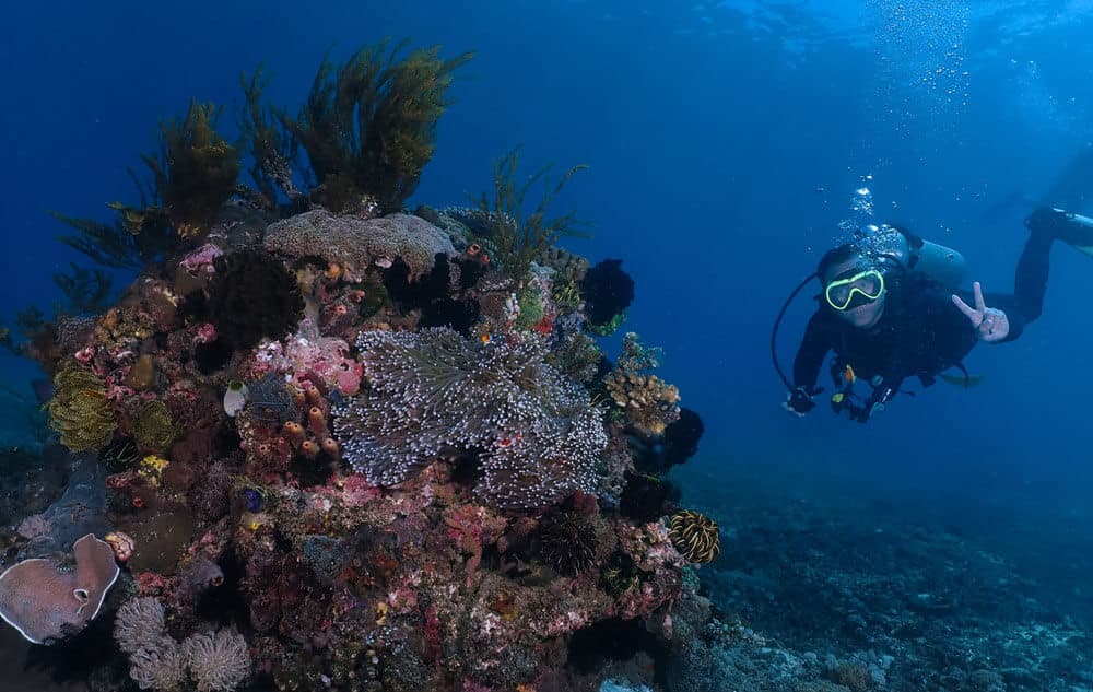 padang bai diving