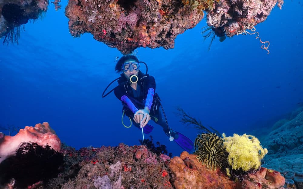 padang bai diving