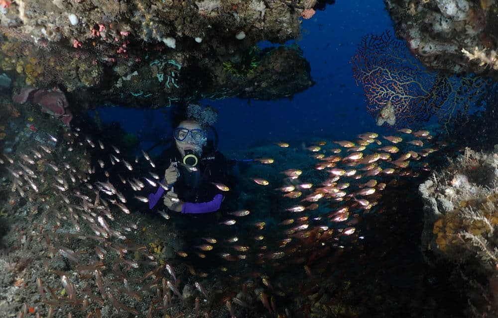 padang bai diving