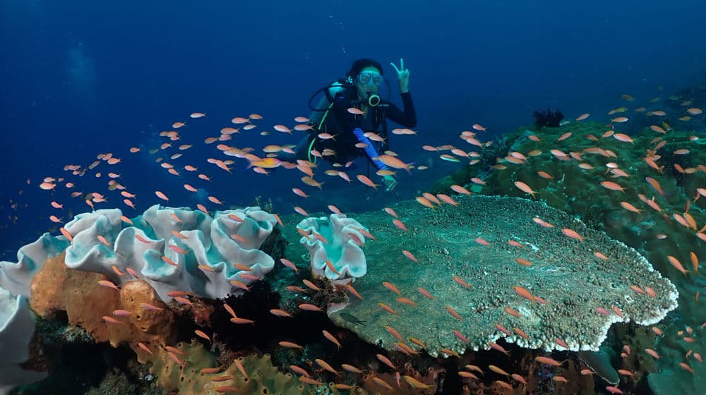 padang bai diving