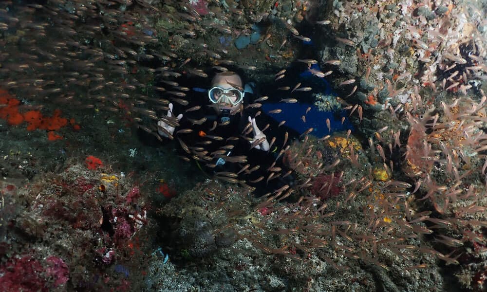 padang bai diving