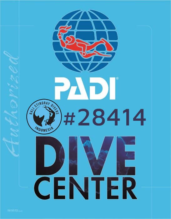 Bali Stingray Diver