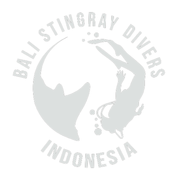 Bali Stingray Diver
